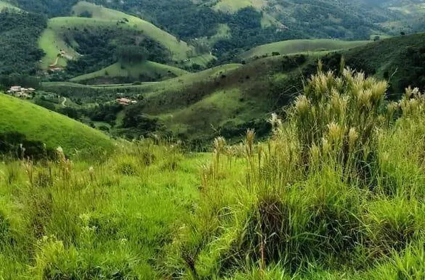 Sitio com 19 Alqueires São Francisco Xavier