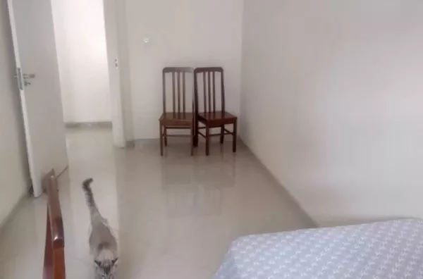 Casa 3 quartos na Vila Industrial