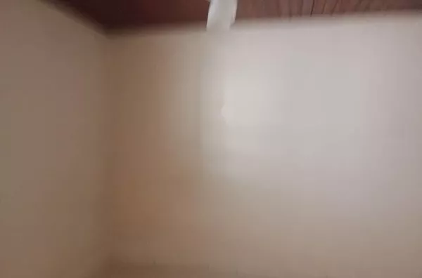 Edícula para aluguel Vila Tatetuba São José dos Campos