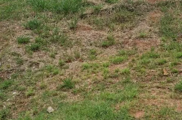 Terreno / Lote / Condomínio à venda, 451m² - Urbanova