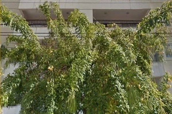 Apartamento Residencial para locação, Vila Industrial, São José dos Campos - .