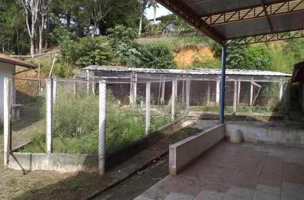 Vendo ou alugo chácara no Freitas