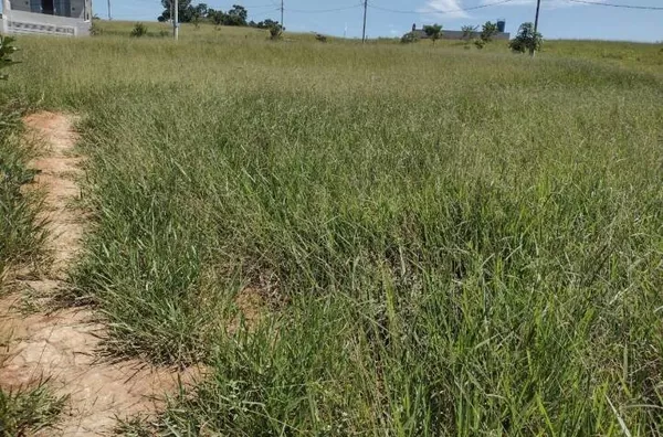 Terreno para venda Residencial Dunamis São José dos Campos