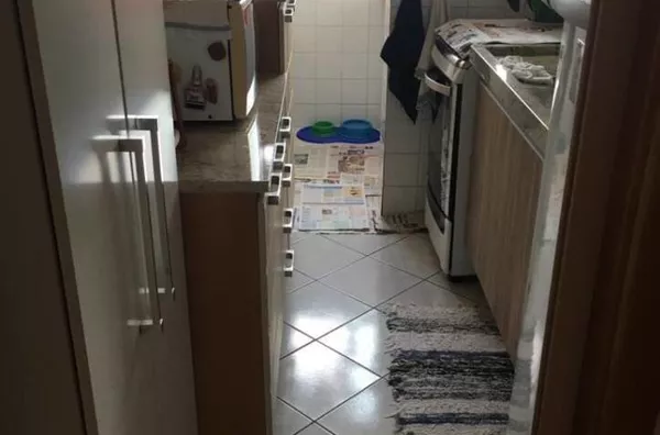 Apartamento para venda Cidade Vista Verde São José dos Campos