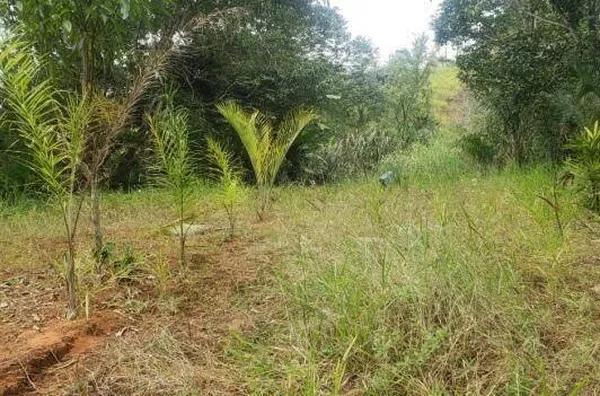 Chácara Rural à venda, Buquirinha, São José dos Campos - .