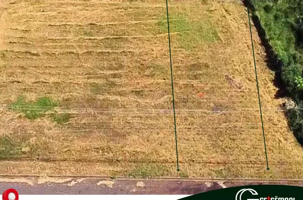 Terreno para venda,  Jardim Amazonas, Monte Azul Paulista - Foto 1