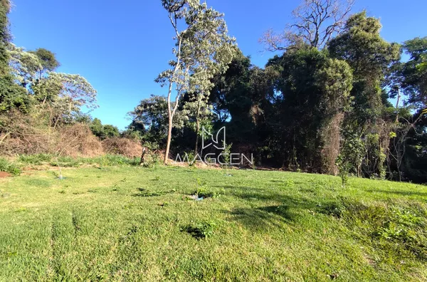 área com pomar aos fundos 