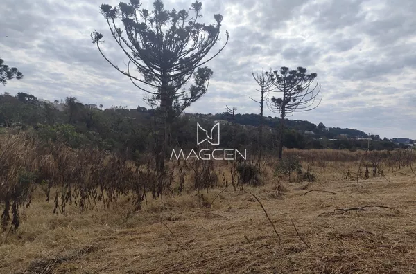 Terreno com dois projetos aprovados ! 