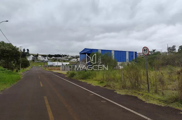 Terreno grande no loteamento Vila Matilde 