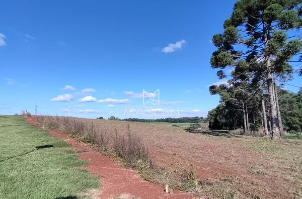 Loteamento Arcides Tumelero Q 2230 L 07