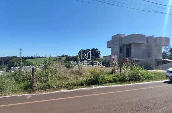 Terreno no loteamento Vila Matilde Q 1781 L 07