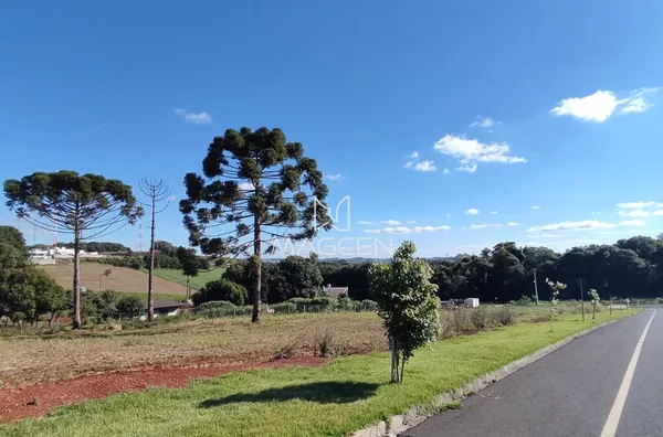 Loteamento Arcides Tumelero Q 2230 L 08