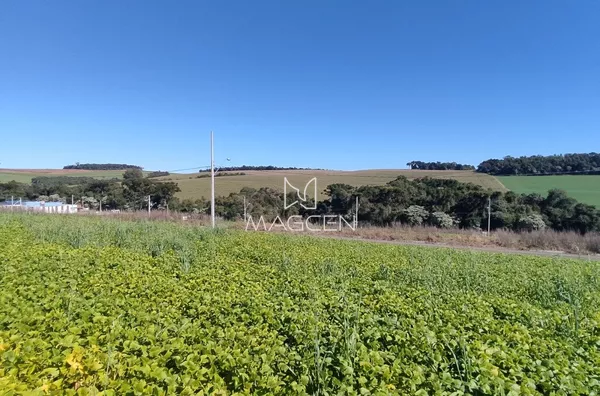 Terreno perto do Centro Veterinário da Mater Dai 