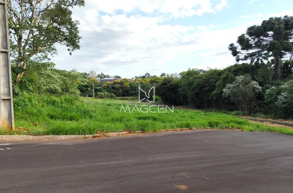 LOTEAMEAMENTO VÔ NINO Q 1767 L 07