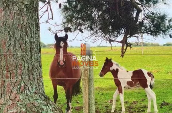 Página 1 Imóveis anuncia ótima Fazenda à Venda 69 hectares em Viamão