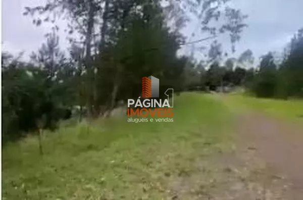 Página 1 Imóveis anuncia para venda belíssimo "sítio" com 3 hectares em Quatro Colonias, Campo Bom–RS - Foto 3