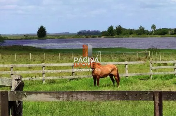 Página 1 Imóveis anuncia ótima Fazenda à Venda em Capão Da Porteira com 316 hectares, Viamão