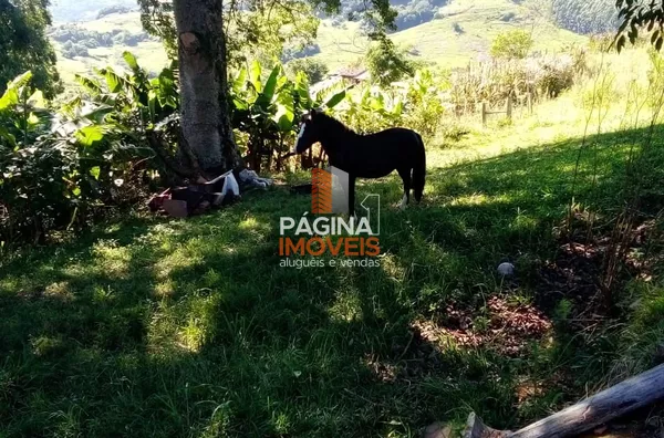 Sítio para venda,  - Bairro Maracanã em Taquara 