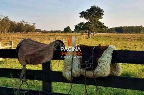 Página 1 Imóveis anuncia ótima Fazenda à Venda em Capão Da Porteira com 316 hectares, Viamão