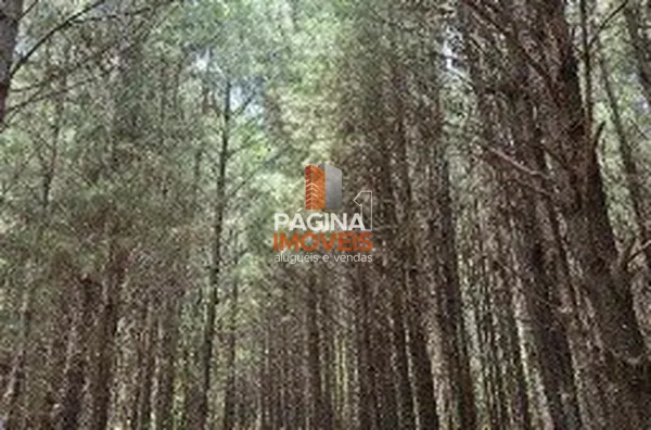 Página 1 Imóveis anuncia para venda excelente oportunidade de "sítio com 40 hectares", em Viamão–RS. - Foto 6