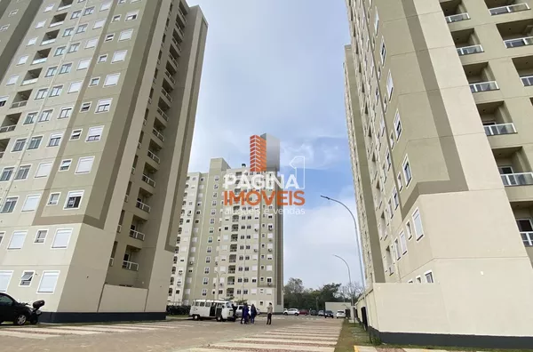 CIRCULAÇÃO