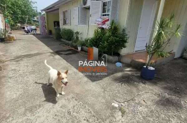 Página 1 Imóveis anuncia excelente Terreno com Casa de Madeira à Venda no Distrito Industrial de Cachoeirinha - Foto 6