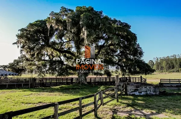 Página 1 Imóveis anuncia para venda excelente "fazenda" com 80 hectares no bairro Lomba Grande em Novo Hamburgo–RS. - Foto 3