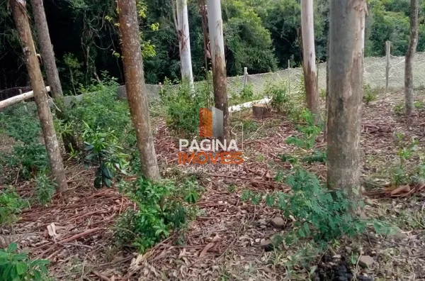 Sítio para venda,  - Bairro Maracanã em Taquara 