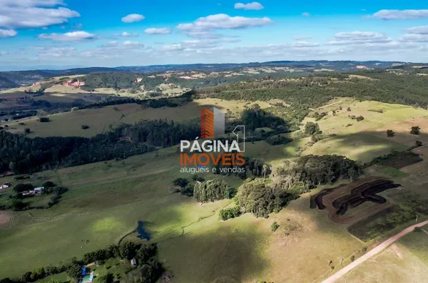 Página 1 Imóveis anuncia para venda excelente "fazenda" com 80 hectares no bairro Lomba Grande em Novo Hamburgo–RS. - Foto 6