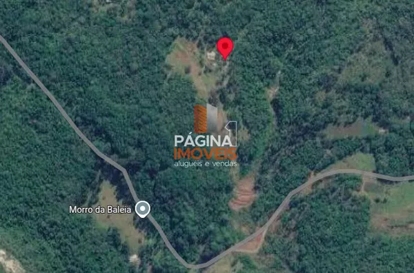 Página 1 Imóveis anuncia ótima opção de Sítio à Venda em Gramado - Foto 21