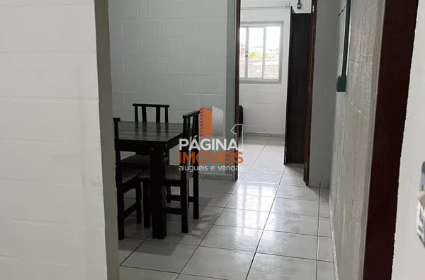 CIRCULAÇÃO