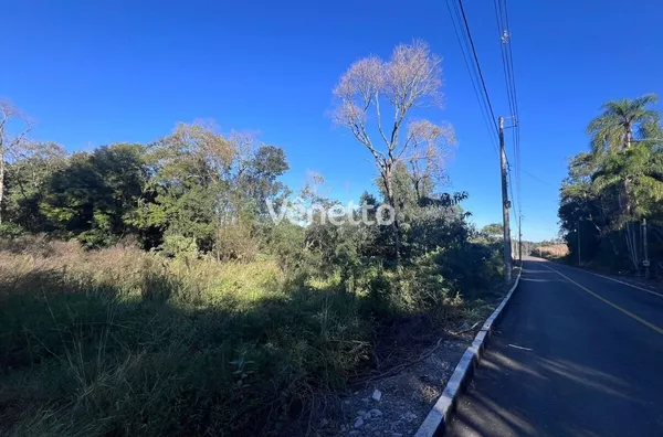 Área de terras à venda, Fagundes Varela/RS. 