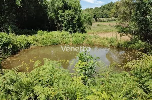 Área de terra à venda, Comunidade São João, Fagundes Varela/RS.