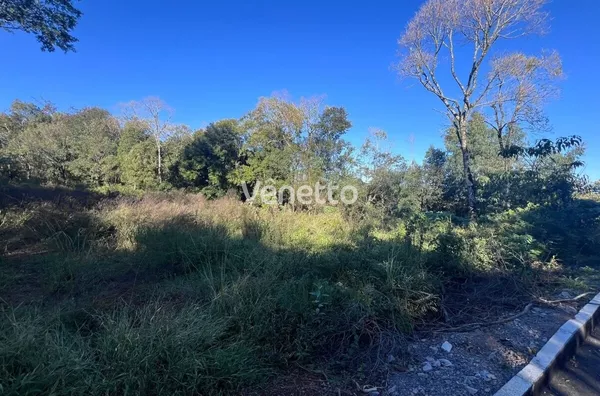 Área de terras à venda, Fagundes Varela/RS. 
