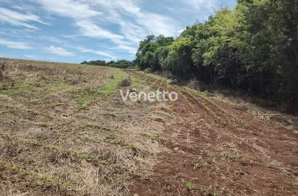 Área de terra à venda, Comunidade São João, Fagundes Varela/RS.