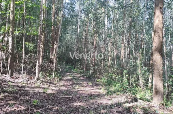 Área de terras à venda, Santo Antônio da Segunda, Veranópolis/RS