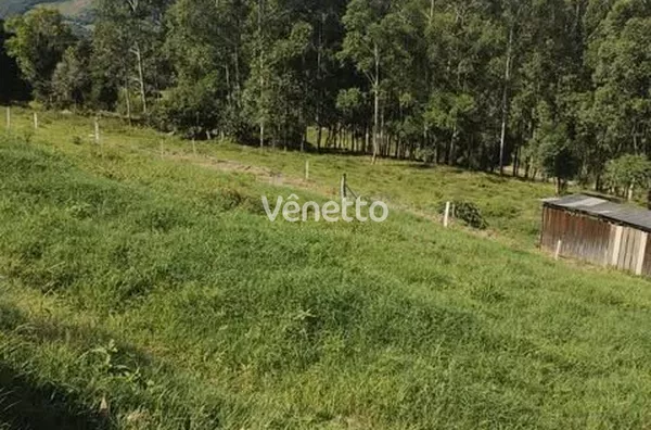 Sítio à venda, Vila Flores/RS. 
