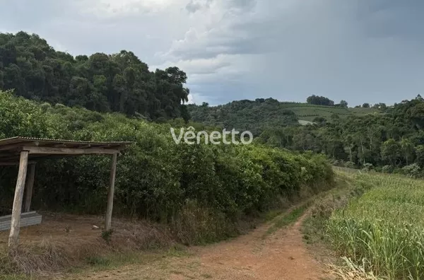 Área de terra à venda, interior, Cotiporã/RS. 