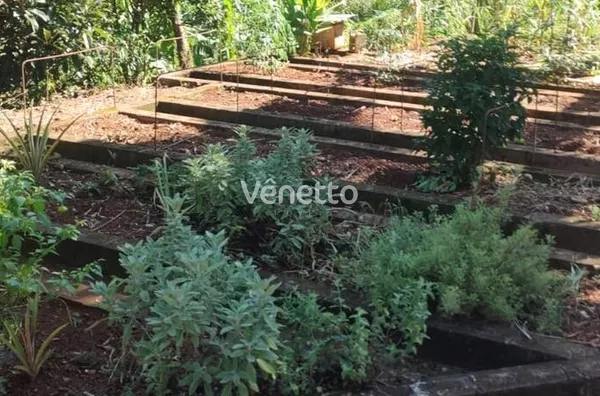 Sítio à venda, Barros Cassal, Veranópolis/RS. 