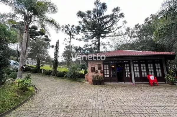 Sítio à venda, Interior, Comunidade Pedancino, Veranópolis/RS.