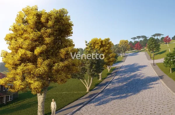 Terreno para venda,  Universal, 