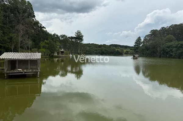Sítio à venda, Zona Picoli, Veranópolis/RS. 