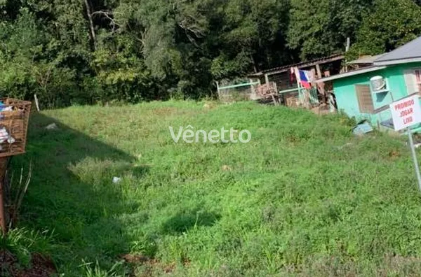 Terreno para venda Medianeira III VERANOPOLIS