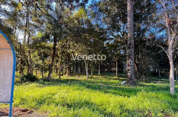 Terreno à venda,  Loteamento Beltrame, Veranópolis/RS.