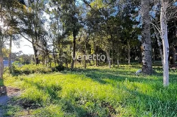 Terreno à venda,  Loteamento Beltrame, Veranópolis/RS.