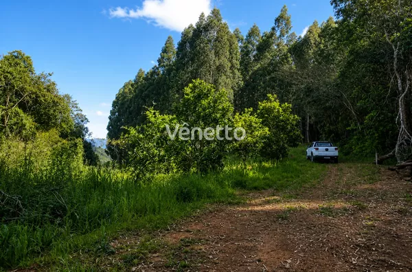 Área de terras à venda, Santo Antônio da Segunda, Veranópolis/RS