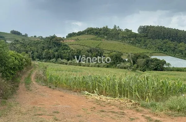 Área de terra à venda, interior, Cotiporã/RS. 