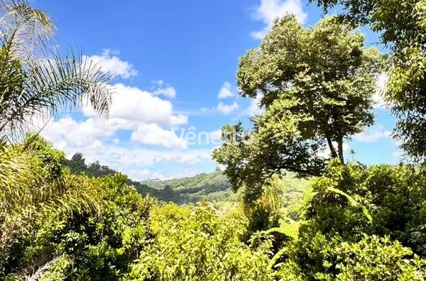 Sítio à venda, Retiro, Veranópolis/RS. 