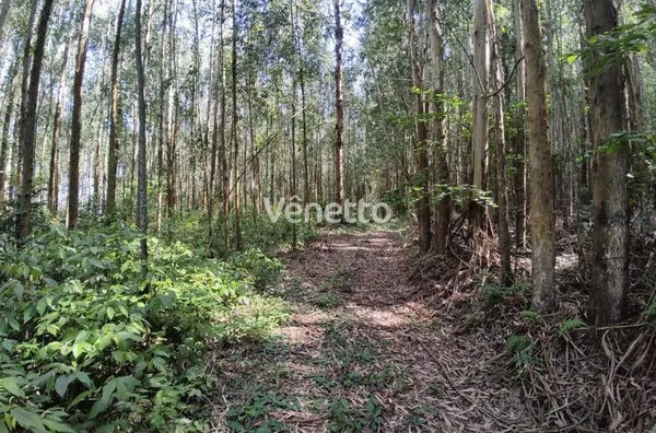 Área de terras à venda, Santo Antônio da Segunda, Veranópolis/RS