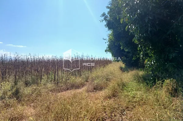 Sítio para venda,  Zona Rural - Capitolio/MG - Foto 4